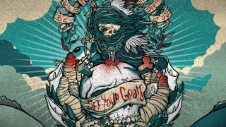 Woman skull banner chest bird - a bird free wallpaper for desktop