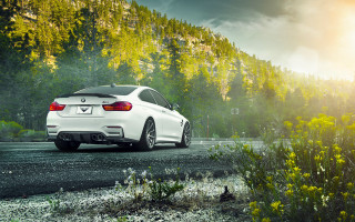 White car forest road autumn - a road next free wallpaper