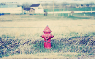Fire hydrant grass fence house - shallow free wallpaper for desktop