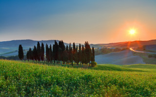 Sunset hills field trees road - beautiful free wallpaper for desktop