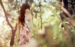Woman dress forest sunlight impressionist - the background and sunlight free wallpaper