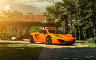 Bright orange sports car palm - palm tree free wallpaper