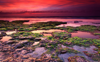 Red sky water rocks green - the rock free wallpaper