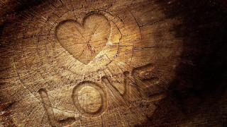 Heart carved tree love star - a woodcut free wallpaper