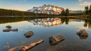 Mountain lake reflection logs trees - a still lake free wallpaper