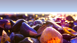 Colorful rocks beach ocean sunset - top of a beach next free wallpaper
