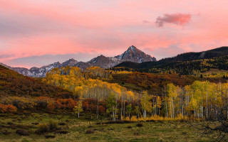 Mountain range pink sky trees - green free wallpaper for desktop