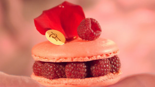 Raspberry pastry flower pink background - delaunay free wallpaper