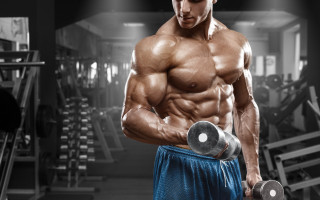Muscular man dumbbell gym urban - anthony palumbo free wallpaper