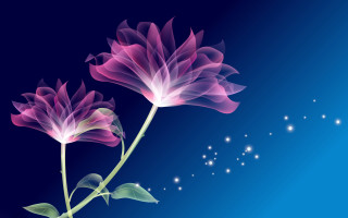 Flowers blue background stars sky - the sky behind them free wallpaper