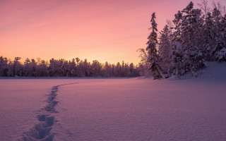 Snowy trail forest sunset pink - sunset free wallpaper