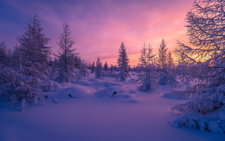 Snowy landscape trees sunset clouds 6 - tree and a sunset in the background free wallpaper