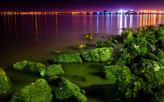 Mystical water rocks city forest - rock free wallpaper