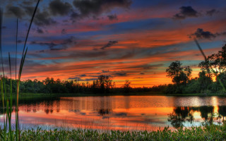 Sunset lake trees grass clouds 2 - a sunset over a lake free wallpaper