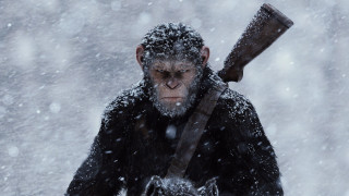 Snowy man axe hammer beard - a hammer free wallpaper