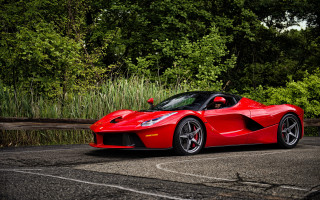 Red sports car forest road - a forest of trees and bushes free wallpaper