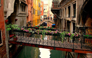 Bridge flowers canal city people - building and people free wallpaper