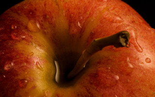 Red apple water drops macro - a red apple free wallpaper