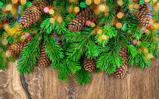 Pine cones pine needles wooden 2 - a pine cone free wallpaper