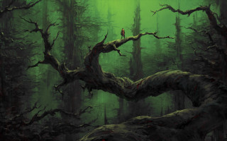 Bird perched tree branch forest 2 - forest free wallpaper