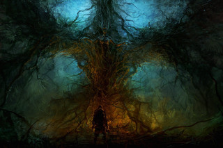 Man forest giant tree standing - the middle free wallpaper