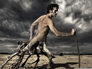Man stick tree stump desert - brad kunkle free wallpaper