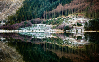 Lake forest snow people reflections - david paton free wallpaper