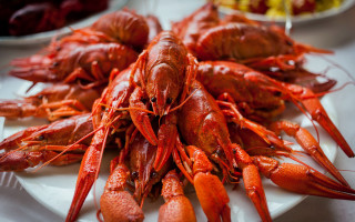 Lobsters food table bowloffruit sharpclaws - free holidays wallpaper