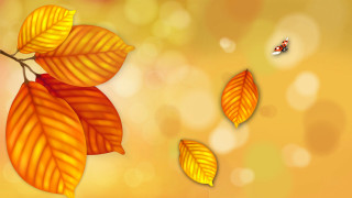 Ladybug flying over leaves autumn - autumn free wallpaper