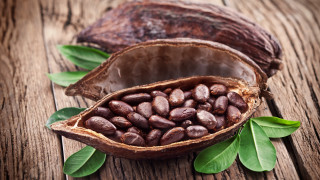 Seed pod wooden table leaves - whole free wallpaper
