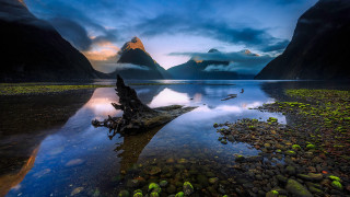 Lake tree stump mountains sunset - derold page free wallpaper