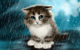 Black cat blue eyes rainy 2 - a digital painting free wallpaper