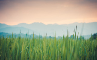 Field mountains sunset grass nature - cao zhibai free wallpaper