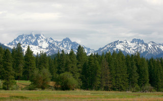 Horse grazing mountains blue sky - the top of the mountains free wallpaper
