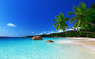 Beach rock palm trees sunny - a rock in the middle of it free wallpaper