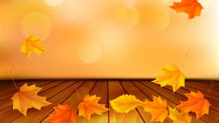 Wooden floor leaves autumn moon - felipe seade free wallpaper