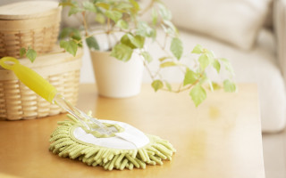 Green mop wooden table potted - a white couch free wallpaper