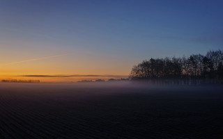 Field fog trees sunset plane - overhead in the distance free wallpaper