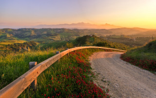 Dirt road wooden fence flower - a wooden fence free wallpaper