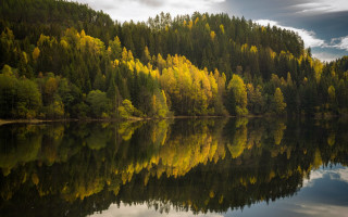 Lake trees clouds reflections autumn - a cloudy sky in the background free wallpaper
