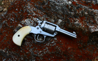 Revolver rock mossy background autumn - a red substance free wallpaper