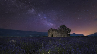 Purple flowers night sky stars - a building in the foreground free wallpaper