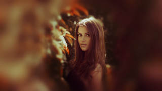 Woman long hair orange flowers - branch free wallpaper