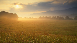 Sunset mountains horse beach city - the distance free wallpaper