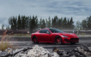 Red sports car forest traintracks - matte finish free wallpaper