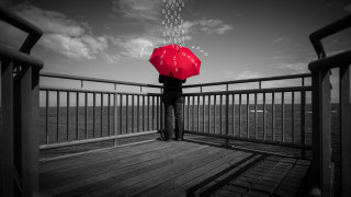 Person umbrella deck water urban - an umbrella over free wallpaper