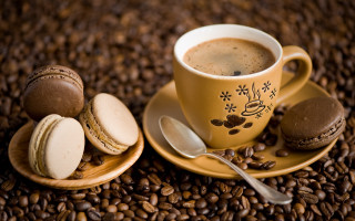 Coffee macaroons stilllife basket blurry - clara peeters free wallpaper