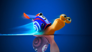 Snail blue background red blue - a reflection free wallpaper