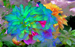 Colorful flower leaves black background - elizabeth murray free wallpaper