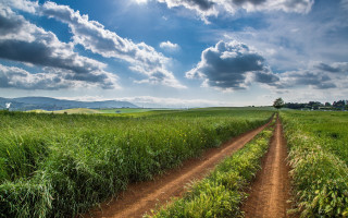 Dirt road field clouds sky 2 - a dirt road in a field free wallpaper